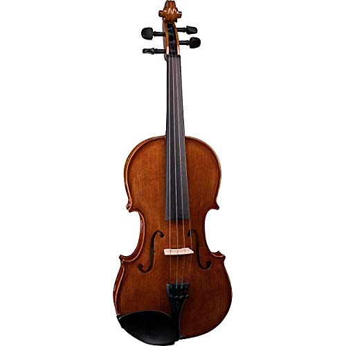 Stentor 1500-4/4 Violin Student II Hand Crafted Solid Tonewood Instrument with True Tune Chromatic Tuner, Polish and Polishing Cloth (4/4)