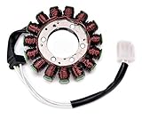 Compatible con Suzuki GSXR 1000 (2009-2016)