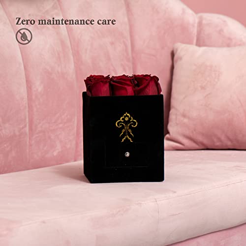 Valentines Day Gifts| Roses In A Box | Real Roses That Last A Year | Fresh Flowers | Unique Gifts For Women, Mothers Day, Valentine’s Day| Preserved Roses| (Black Box, Small) #TOP3