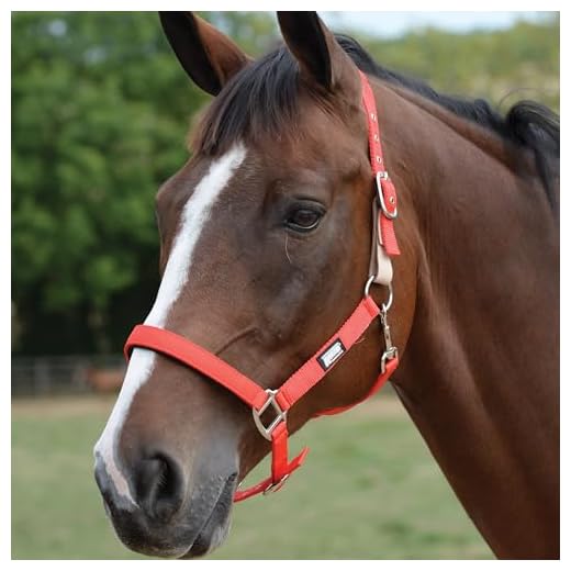 Breakaway Headcollar for Dogs (Red)