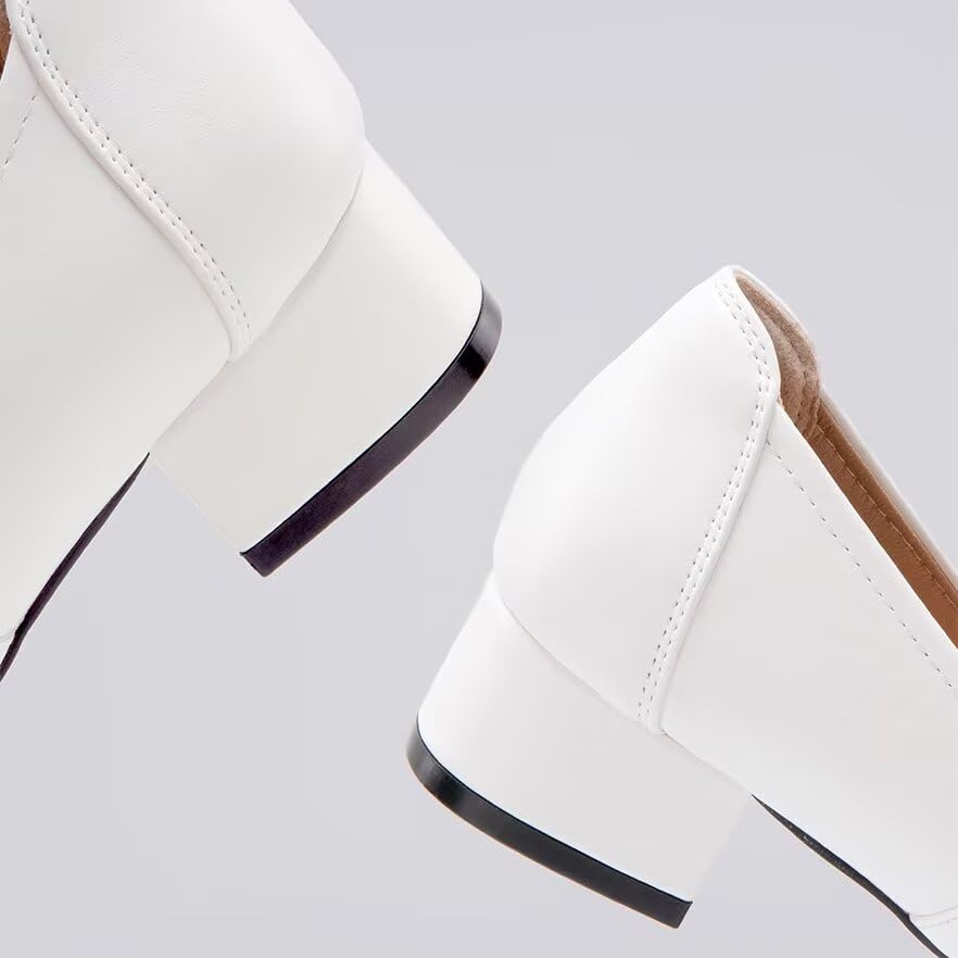 Mary Jane Shoes Women Low Heels Dress Shoes Pumps Low Heel 2 Inch Chunky Heel Mary Janes Pumps with Adjustable Ankle Strap for Women Dressy Casual