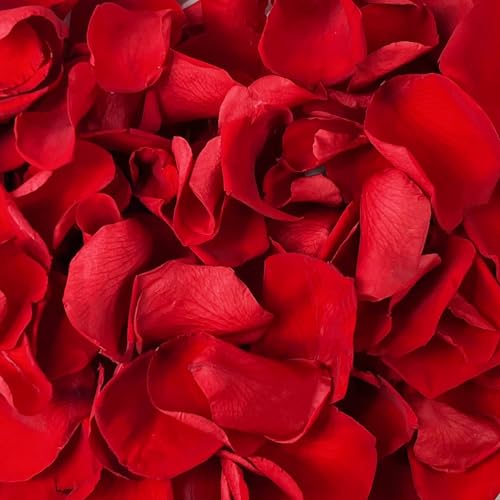 180 PCS Real Red Rose Petals Confetti for Romantic Night Flower Petals
