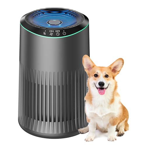 MERONTE Luftreiniger für Schlafzimmer Zuhause, Luftreiniger Allergiker für Schlafzimmer Büro Raucherzimmer, Air Purifier, Kühles Grau, 1 Pack+3...