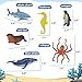 Beetots Ocean Sea Life Toy Figures Set for Kids, 12 PCS Realistic Marine Animals with Shark, Dolphin, Sea Turtle, Penguin, Seal, Clownfish, Crab, Ocean Animal Figure Toys for Boys Girls Toddlers