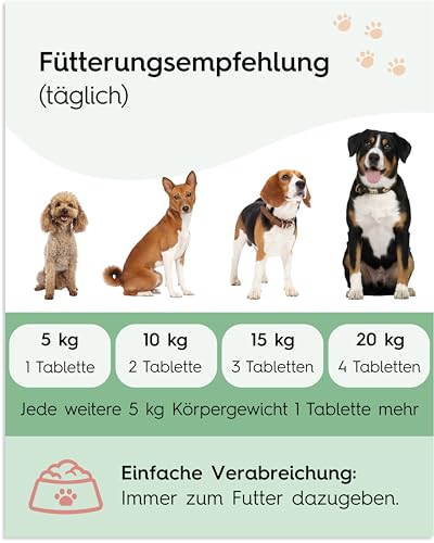 Lucky Pets Gras- & Kotfresser Tabletten Hund – 100 % pflanzlich und magenschonend – Mit Ulmenrinde und Heilerde – Gras und Kotfresser Drops Hund gegen Fressverhalten bei Nährstoffmangel