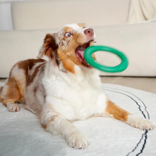 Image of Green Sheep Natural Rubber Ring Dog Chew Toy, Durable Chew Toys for Small to Large Dogs, Tough Dog Toys for Medium & Big Dogs, Teething & Play