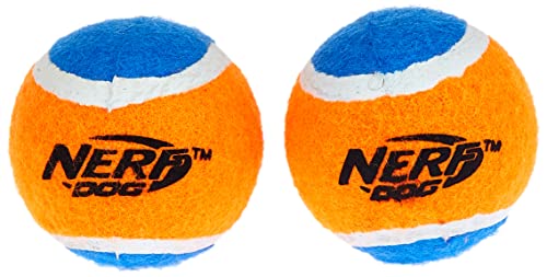 Nerf Dog Hundespielzeug Tennisbälle, mega stark, Tennisball mit Gummifüllung, ohne Squeaker, Durchmesser 6,4cm, 2er Pack