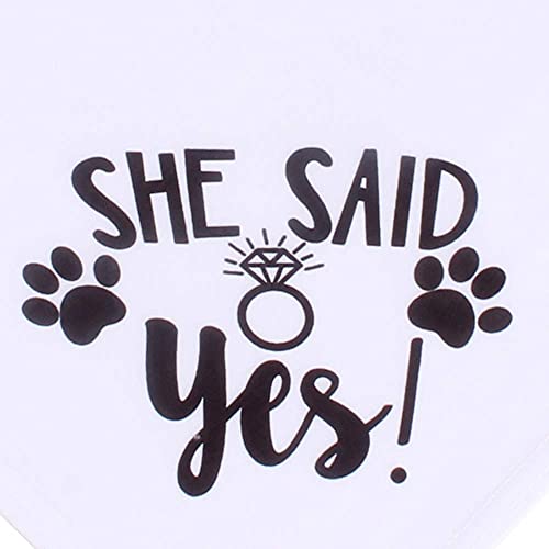 Will You Marry My Daddy Dog Bandana, Dog Wedding Bandana, Dog Engagement Announcement, Wedding Photo Prop, Pet Scarf, Pet Accessories (2 Pack) #TOP2
