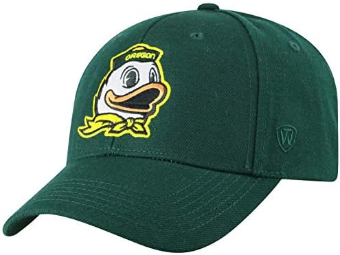Memory Foam Team Icon hat, Adjustable 