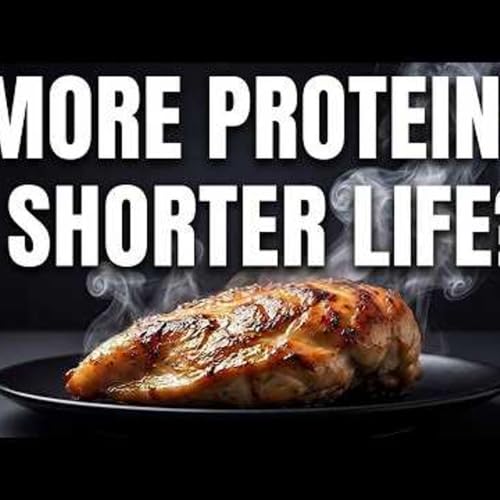 What Harvard & USC Just Learned About Protein