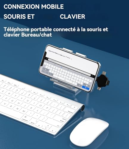 Adaptateur USB vers Type C pour brancher souris et clavier sur iPad