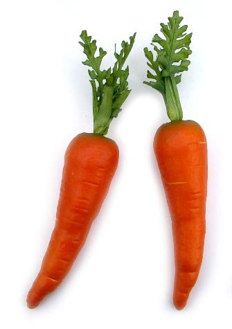 Country Carrot, Artificial Vegetable Fake Food, Bag of 12, 2 Sizes