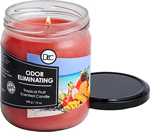 Odor Eliminating Highly Fragranced Candle - Eliminates 95% Of Pet, Smoke, Food, And Other Smells Quickly - Up To 80 Hour Burn Time - 12 Ounce Premium Soy Blend (Tropical Fruit) #TOP2