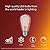 Philips LED Vintage Spiral ST19 Dimmable LED Light Bulbs - E26 Bulb - Flicker-Free Light Bulb with EyeComfort Technology - Soft White Lightbulb - 800 Lumen - 4 Pack