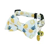Newtensina Fashion Cute Fruits Pattern Cat Collar with Lemon Watermelon Pineapple Pendant for Cats - White