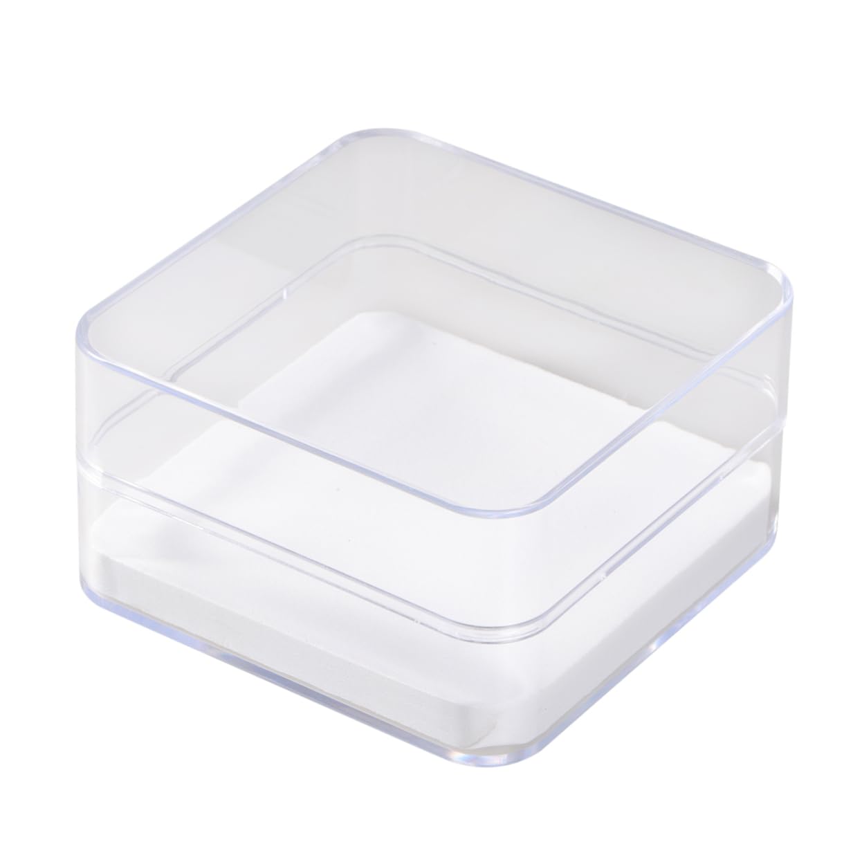SOLUSTRE Cage À Insectes Transparente Pour Boîte À Spécimens 2 Pièces