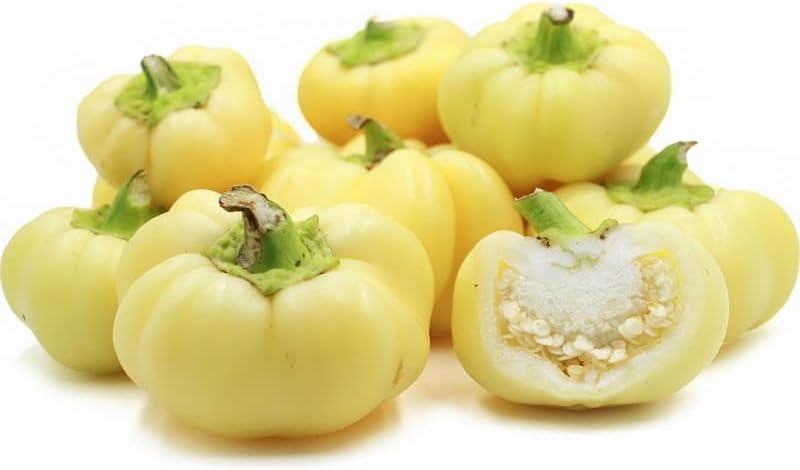 Semillas de pimienta húngara de manzana CHK Capsicum Annuum más de 10 semillas