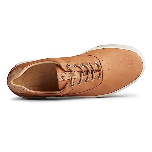 Sperry Homme Gold Striper Plushwave Basket Sneaker Cuir Souple