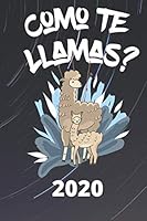 Como Te Llamas - Funny Planner 2020 165529816X Book Cover