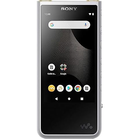 Sony NW-ZX507 Hi-Res Digital Music Player Cover