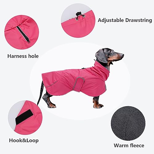 Dachshund Coats Waterproof, Perfect for Dachshunds Sausage, Weiner Dog Winter Coat with Padded Fleece - Image 3