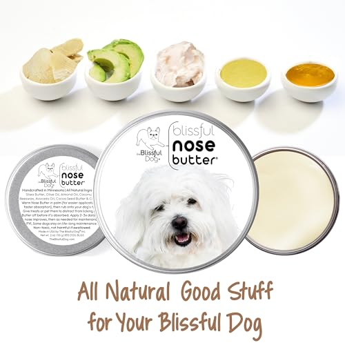 Image of The Blissful Dog Coton De Tulear Unscented Nose Butter, 4-Ounce
