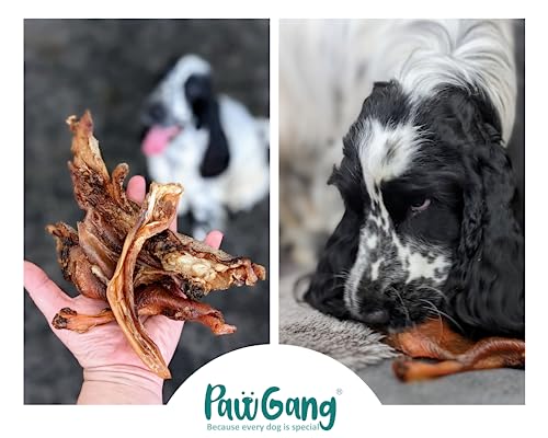 PawGang, Beef Cartilage (Moon Bone) 500g, 100% Natural Treats for Dogs Young Adult Old Small Large, Air Dried Chews Snacks - Image 4