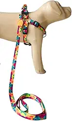 Conjunto Peitoral Coleira com Guia para Cachorros com Pingente para Identificação PP, Tamanho Ajustável, Confortável e Resistente