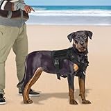 Dog Vest with Chest Strap for Training, Heavy Duty Pet Vest with Handle, Adjustable Dog Vest for 30-48kg, L Size - Image 9