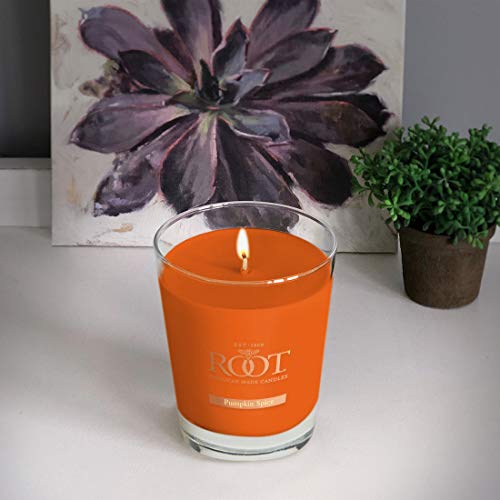 Root Candles, Candle Veriglass Pumpkin Spice Large #TOP5