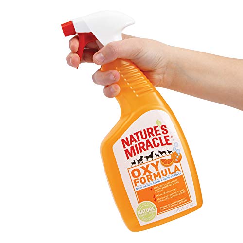 Nature’s Miracle Dog Stain And Odor Remover, Oxy Formula, With Fresh Orange Scent