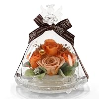 Amazon｜IPFA プリザーブドフラワー ガラスドーム エンジェル