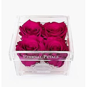 Rose reali che durano un anno – Quartetto in oro bianco (ciliegia)