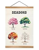 ZTGDA Seasonal Changes Wall Art, Cute Classroom Four Seasons Chart Hanging Poster,Classroom Educational Wall Poster For Toddlers Nursery Playroom Kids Room Decor 16x12inches