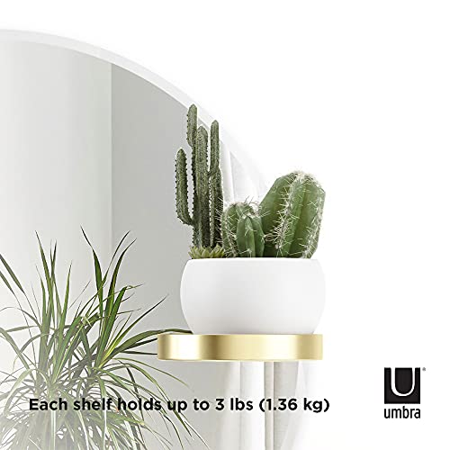 Umbra Perch Wall Mirror With Rubber Frame, Modern Decor For Entryways, Washrooms, Living Rooms, Shelving, Regular, Brass #TOP2