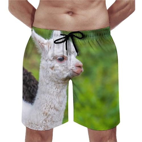 Swim trunk homme alpaga naturel pour la plage et la piscine en S