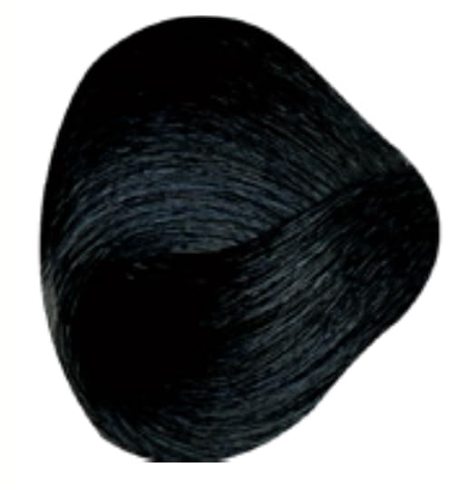 VINCENT.H Crema Colorante Permanente 12 MINUTES EXPRESS (1.10-Negro Azul, 100ml)