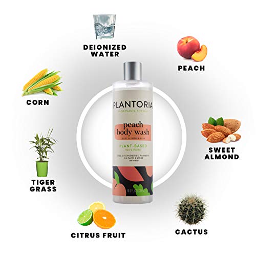 Plantoria Peach Body Wash | Plant Based Pure Natural Bodywash For Women & Men | Antioxidant Rich Body Skin Care Products With Deionized Water, Peach, Sweet Almond & Cactus | High In Vitamin A & C #TOP3