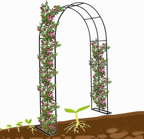 K[fA[`^EFfBOA[`NC~OT|[g[YA[`80/120/140/180/200/240/280/300/350cm K[{gX K[ffR[V(J[:zCgATCY:300x25