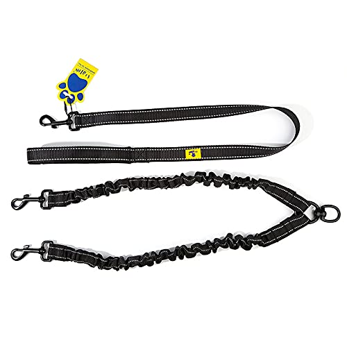 A+a Pets Multi Purpose 3in1 Bungee Leash to Walk 2 Dogs with Ease or use for 1dog, Shock Proof and Long Length for Comfortable Walking (Black) (B09B2FHRH9) Amazon Price History, Amazon Price Tracker