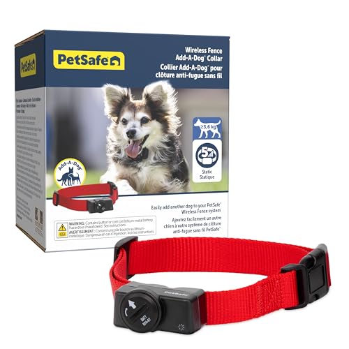PetSafe - Collier supplémentaire de Confinement pour clôture sans Fil, étanche, indicateur de Batterie Faible, 1 Pile Incluse, 120g