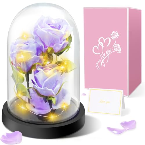 Touloube Rosa Eterna Regalos del Día de la Madre para Mujeres,Regalo de Flor de Rosa -3 Rosas de Seda Moradas con Luz LED en una Cúpula de Cristal para el Día de la Madre Aniversario Cumpleaños