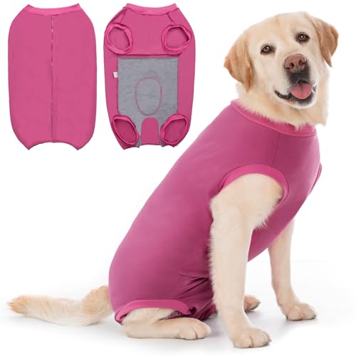 Cyponpy Body Post Operatorio Cane Femmina Maschio Tuta Pigiama Protezione Ferite per Cani Tutina Post Operatoria Cane Vestito Recupero Body per Cani dopo Sterilizzazione Chirurgico Alternative Collare