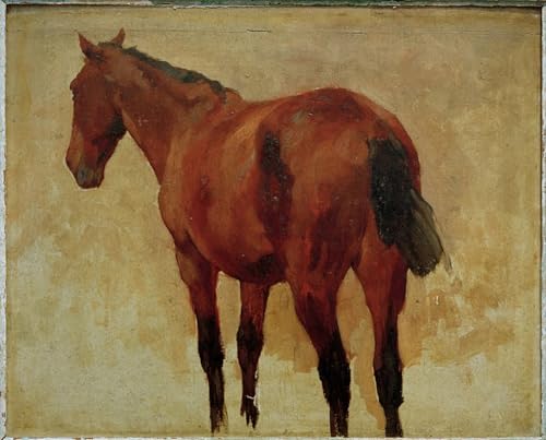 Pintura mural en lienzo Pferdestudie para inspirar calma y arte en tu hogar