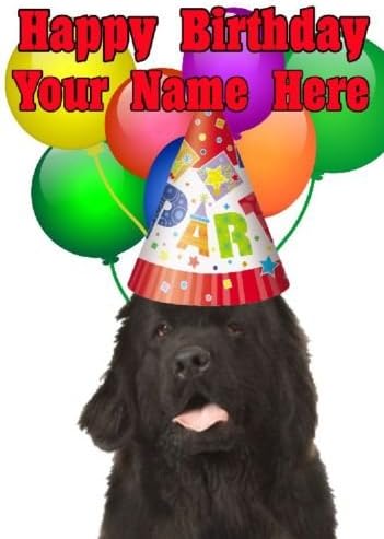 Newfoundland Dog Party Hat Card codenfl Birthday A5 Personalised Greeting card