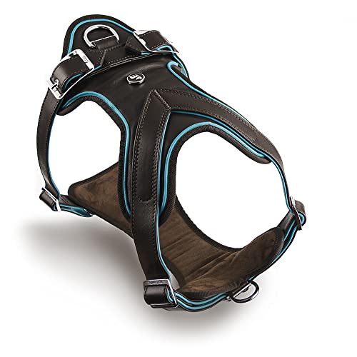 MyFamily Made-in-Italy Genuine Leather Dog Harness, 24K Gold Plated Metallic Finishes, H-Hug, Hermitage Collection