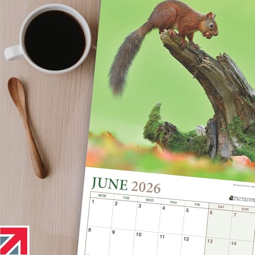 ALLTRADE Calendar 2026 British Wildlife 2026 Calendar UK Holidays MADE IN BRITAIN® with 100% Solar Energy on FSC® paper Photos by LAURIE CAMPBELL Supports Carbon Capture with Tree Planting - Image 7