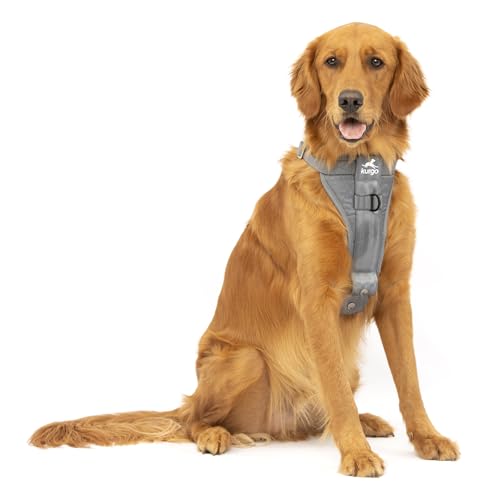 Kurgo Enhanced Strength Tru-Fit Dog Car Harness - Pet Travel Safety Harness - Crash Test Certified Fit - Five Point Adjustment - Secure Buckle - Padded Chest - Charcoal - Large