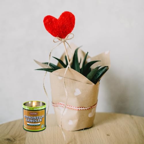 Lomangdi CITRONELLA CANDLE 9 Pack, 3 Oz Jar Candles thumb #2