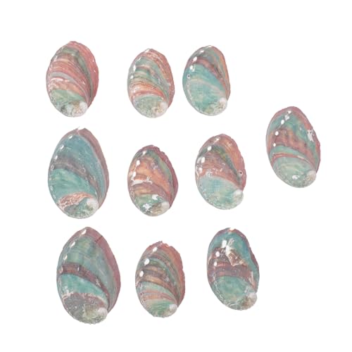 [Angoily] 1Zbg x[X 㝗p葕 fUC̃Ei p  10